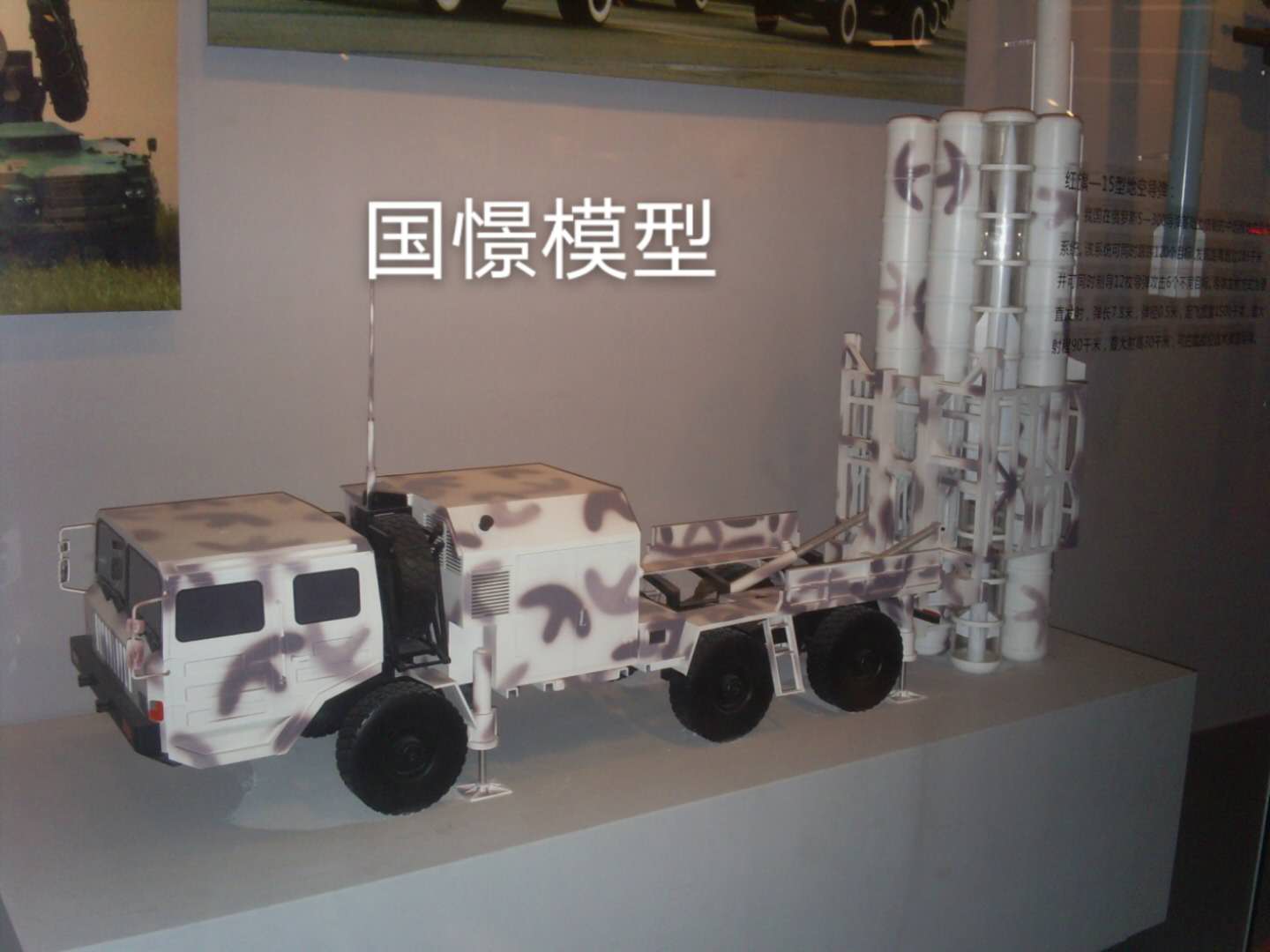 安岳县车辆模型